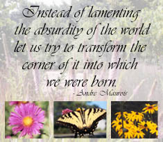 Instead of lamenting the absurdity of the world let us try to transform the corner of it into which we were born. - Andre Maurois